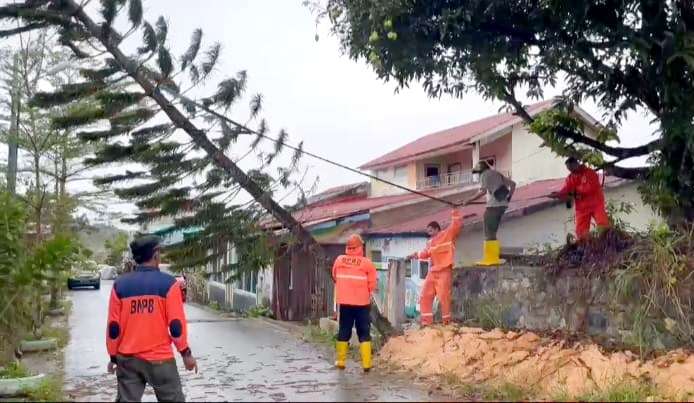 Hujan dan Angin Kencang di Tanjungpinang, Pohon Tumbang Timpa Kabel Listrik di Kijang Kencana