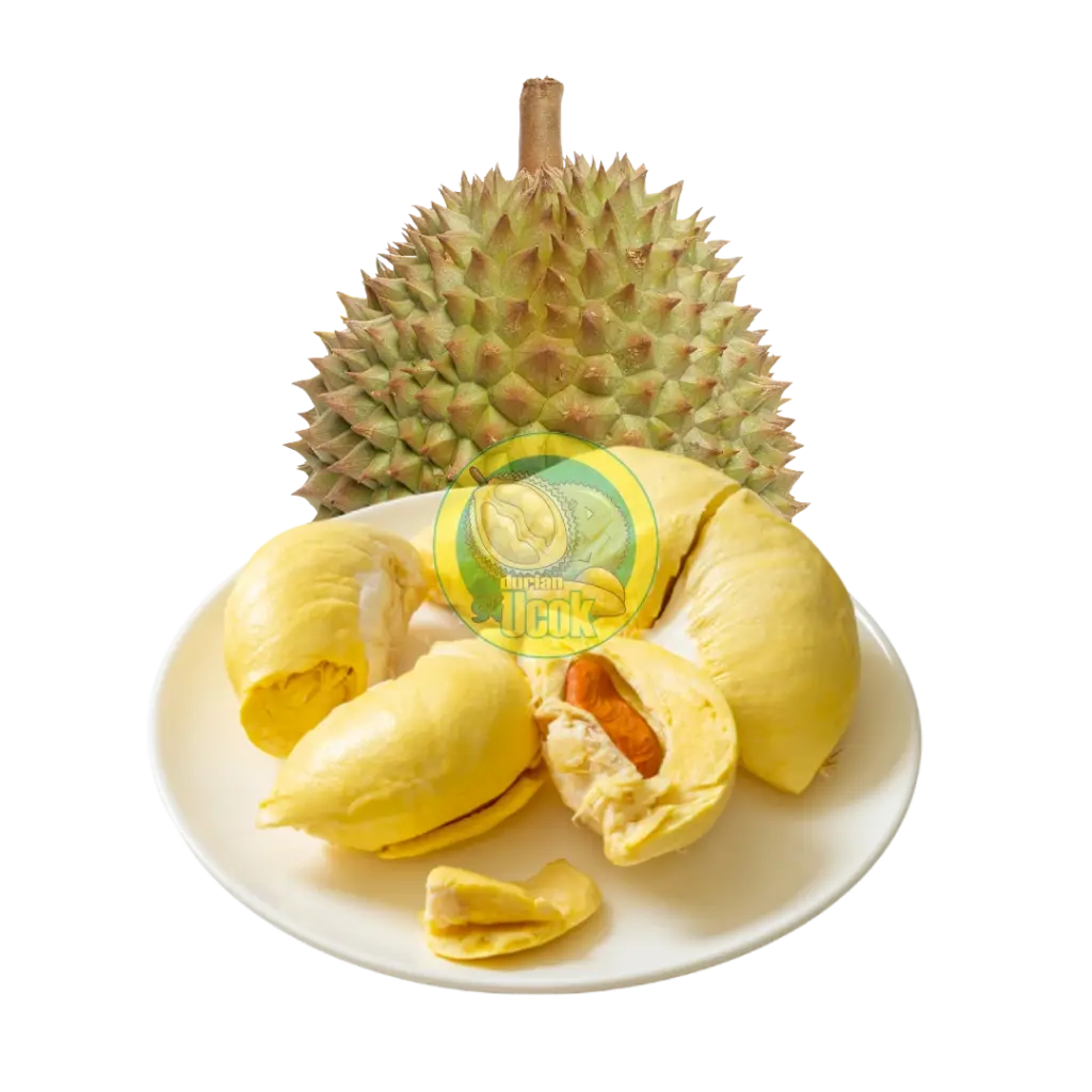 Pusat Durian Montong Jakarta Durian si Ucok: Sensasi Raja Buah Kualitas Premium di Ibu Kota