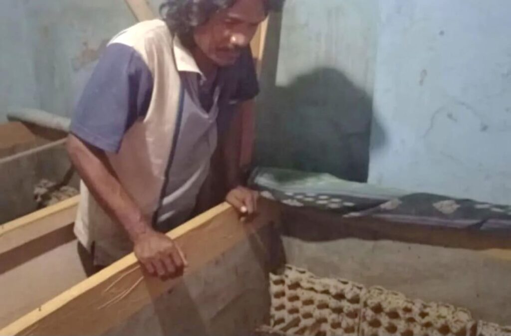 Penangkaran Jangkrik di Lebak Tumbuh Pesat, Jadi Sumber Ekonomi Warga