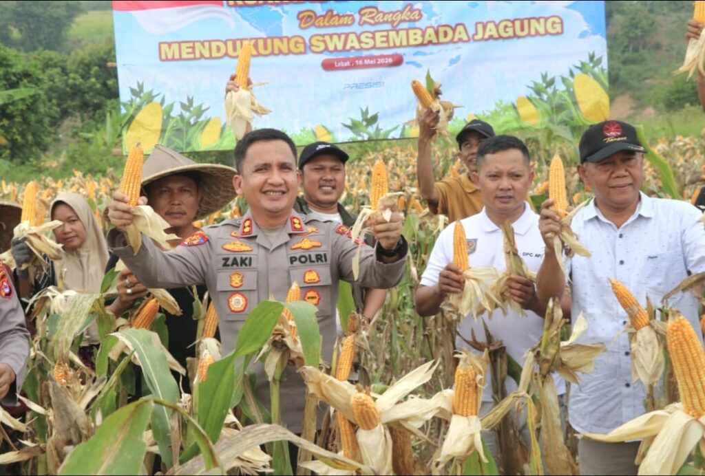 Kapolres Lebak Hadiri Panen Raya Jagung di Kalanganyar, Dukung Ketahanan Pangan
