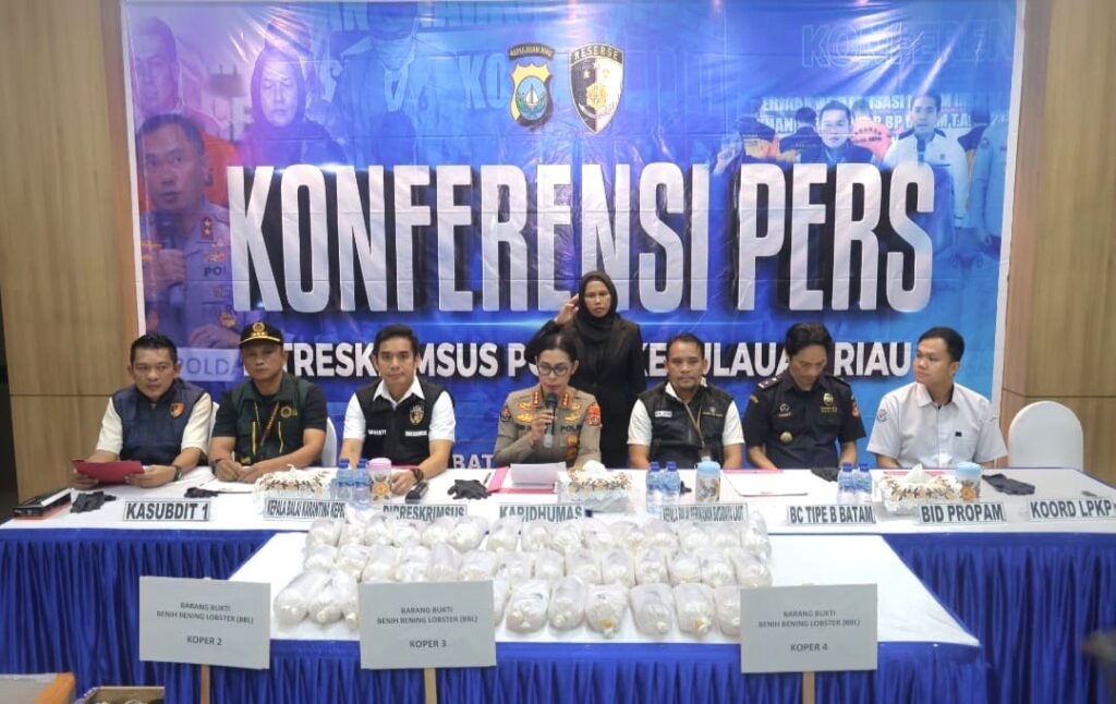 Polda Kepri Gagalkan Penyelundupan 100.000 Benih Lobster di Batam, Kerugian Negara Ditaksir Rp10 Miliar