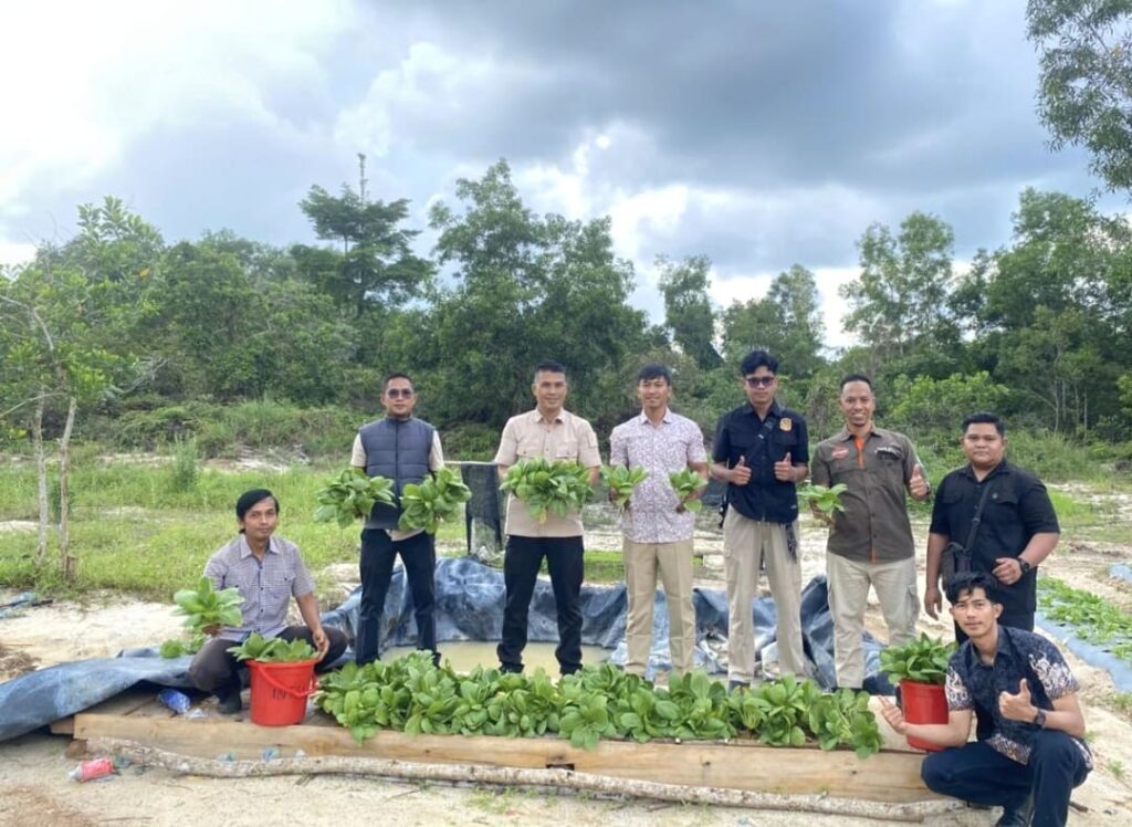 Panen Perdana Pakcoy, Polres Lingga Perkuat Ketahanan Pangan dari Lahan Produktif