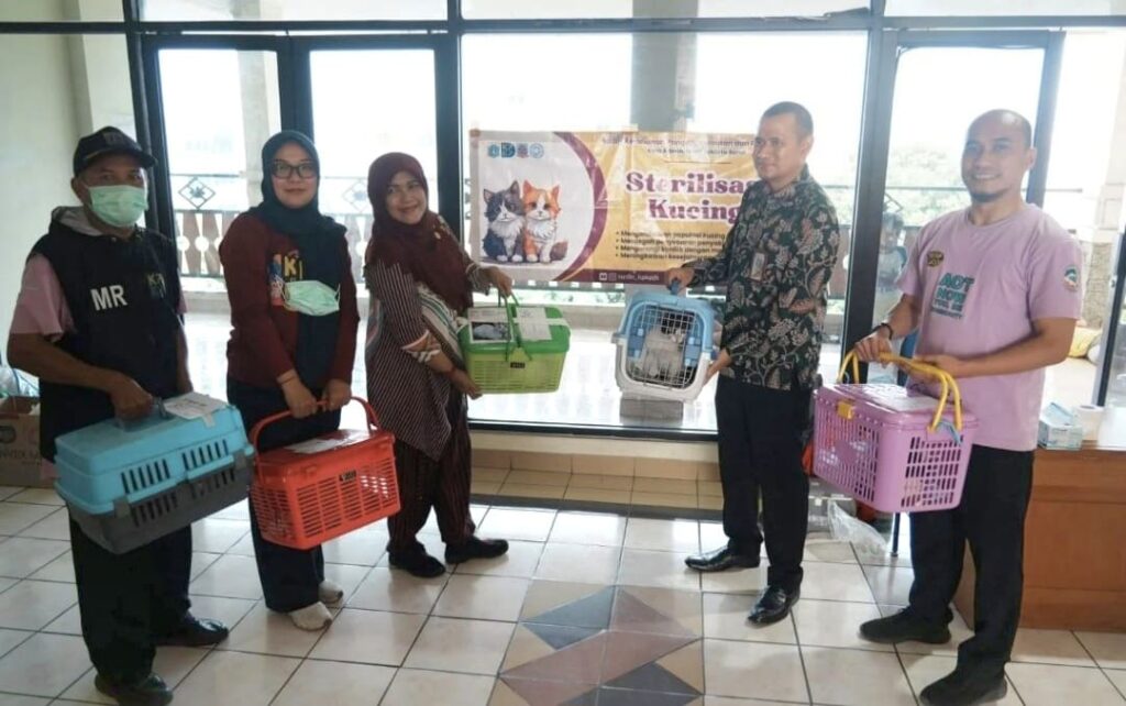 Sterilisasi 200 Kucing Jantan Digelar di Grogol Petamburan, Tekan Populasi Kucing Liar Secara Humanis