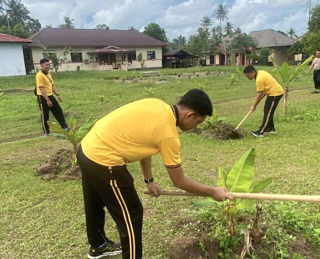 Polsek Dabo Singkep Rawat Kebun Pisang, Dukung Ketahanan Pangan dan Pemanfaatan Lahan Produktif