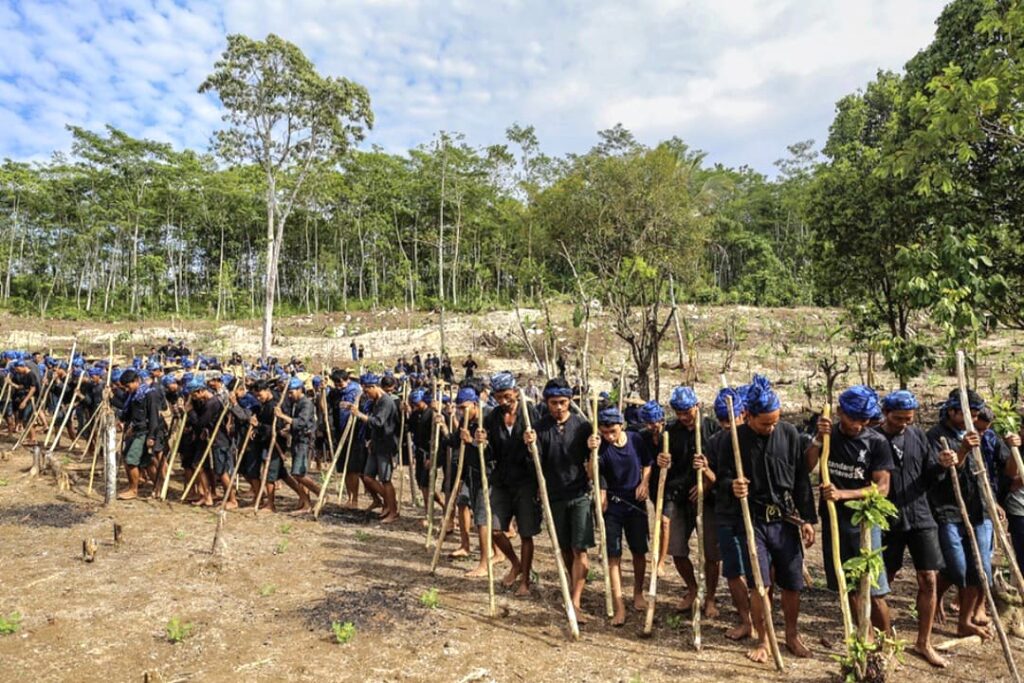 Petani Badui di Lebak Rugi hingga Rp25 Juta Akibat Serangan Babi Hutan dan Monyet