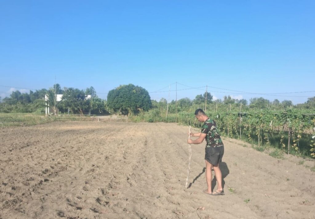 Satgas TMMD ke-129 Kembangkan Lahan Produktif, Dorong Ketahanan Pangan di Desa Busung