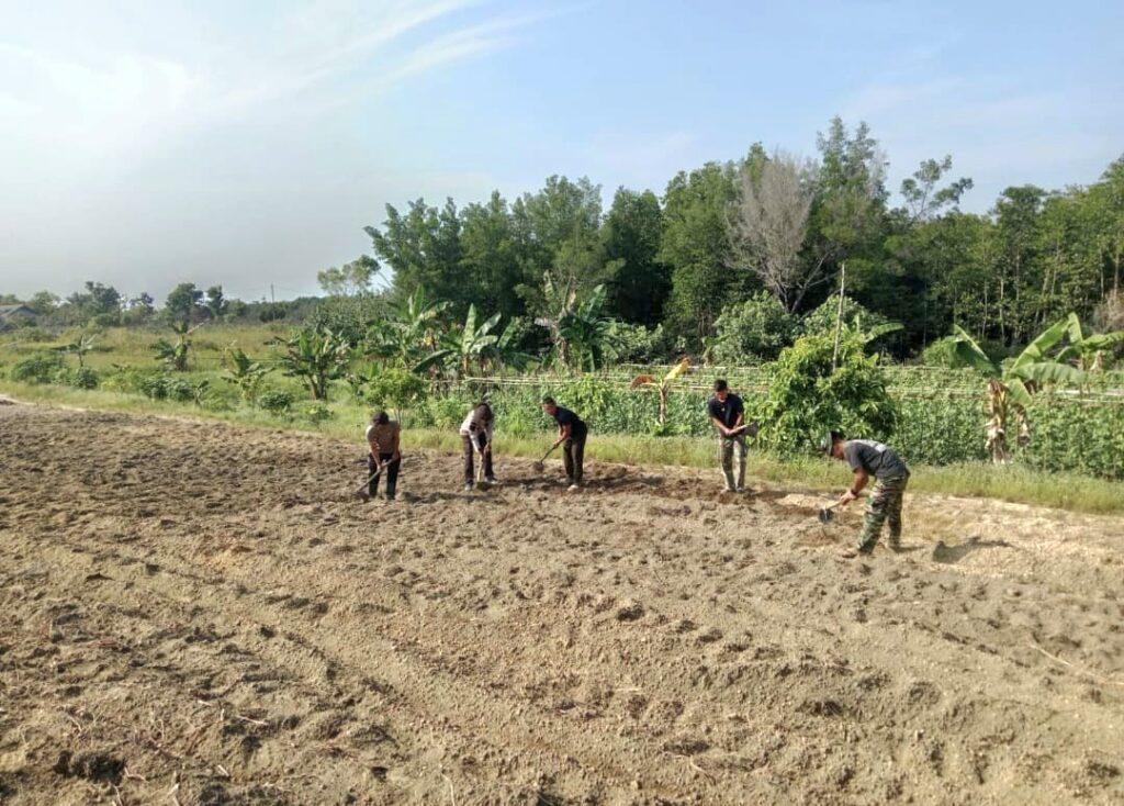 Pembangunan Sarana Ketahanan Pangan TMMD ke-129 di Desa Busung Capai 79 Persen