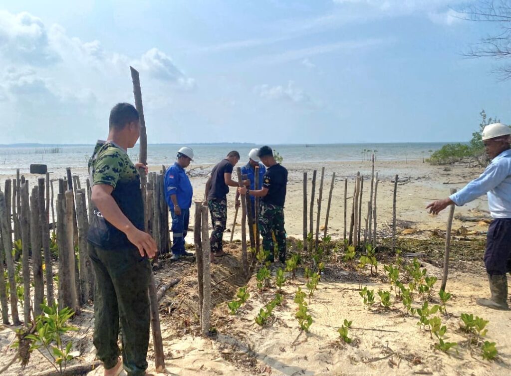 Satgas TMMD Ke-129 Tanam Mangrove di Pesisir Bintan, Cegah Abrasi dan Jaga Ekosistem