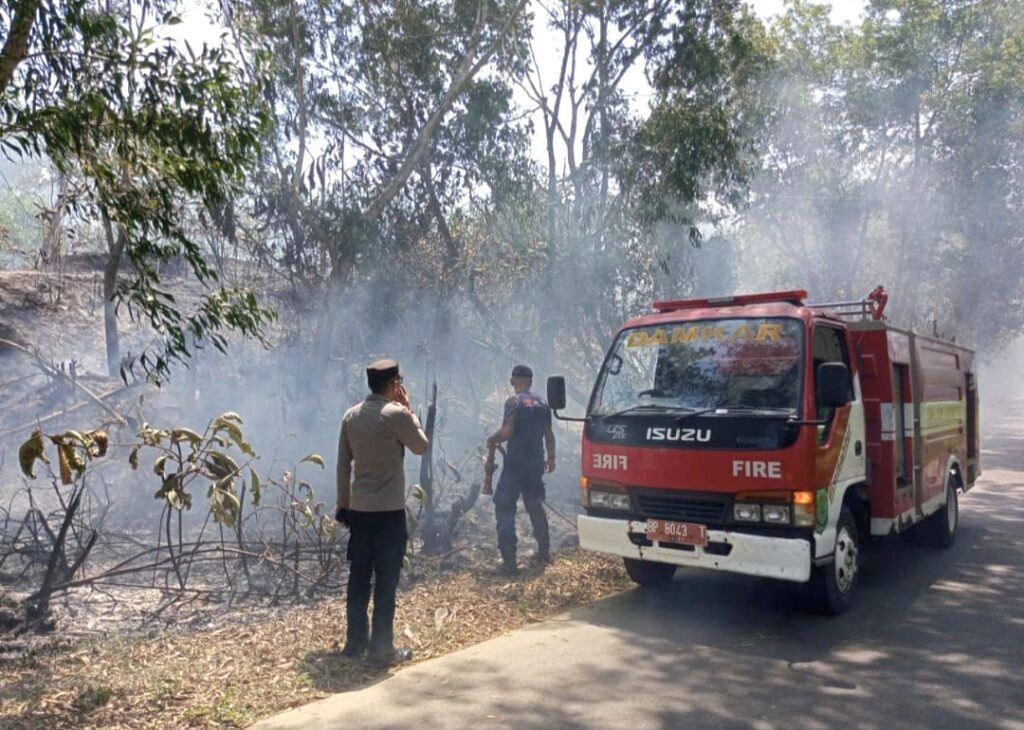 Lahan 600 Meter Persegi di Kampung Bugis Terbakar, Penyebab Belum Diketahui