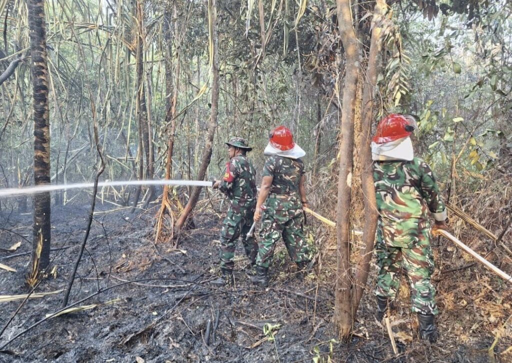 Tim Damkar Kodim 0315/Tanjungpinang Tangani Kebakaran Lahan Dua Hektare di Toapaya