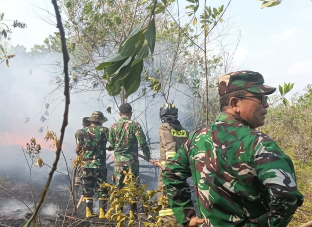 Tim Damkar Kodim 0315/Tanjungpinang Bantu Padamkan Karhutla Seluas 6 Hektare di Bintan