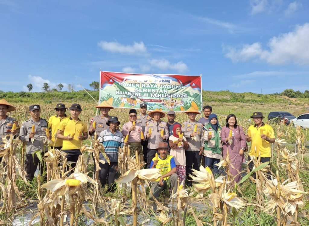 Dukung Swasembada Pangan, Polsek Bukit Bestari Panen 1 Ton Jagung di Dompak