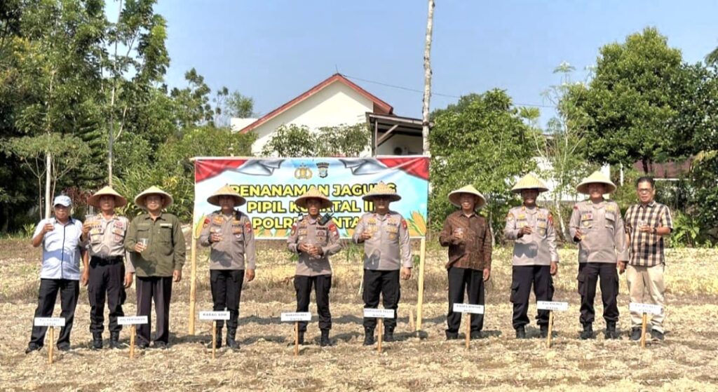 Dukung Ketahanan Pangan, Polres Bintan Tanam Jagung Pipil Kuartal III 2026