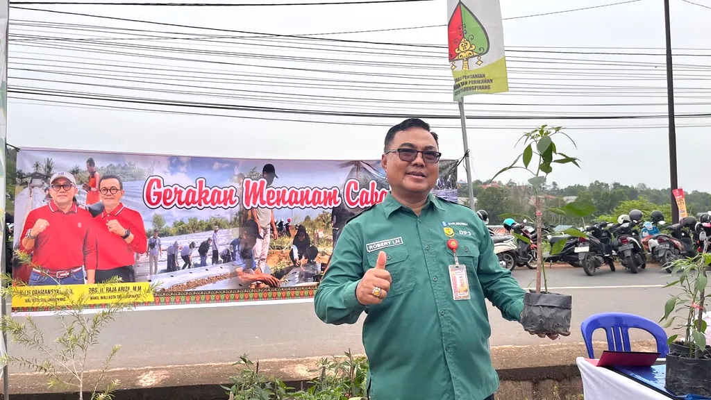 DPPP Tanjungpinang Siapkan 11 Hektare Lahan Cabai, Potensi Produksi Capai 36 Ton